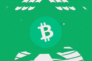 Bitcoin Cash (BCH): Išsamus vadovas apie kriptovaliutą, jos istoriją, rinkos tendencijas ir poveikį Lietuvoje